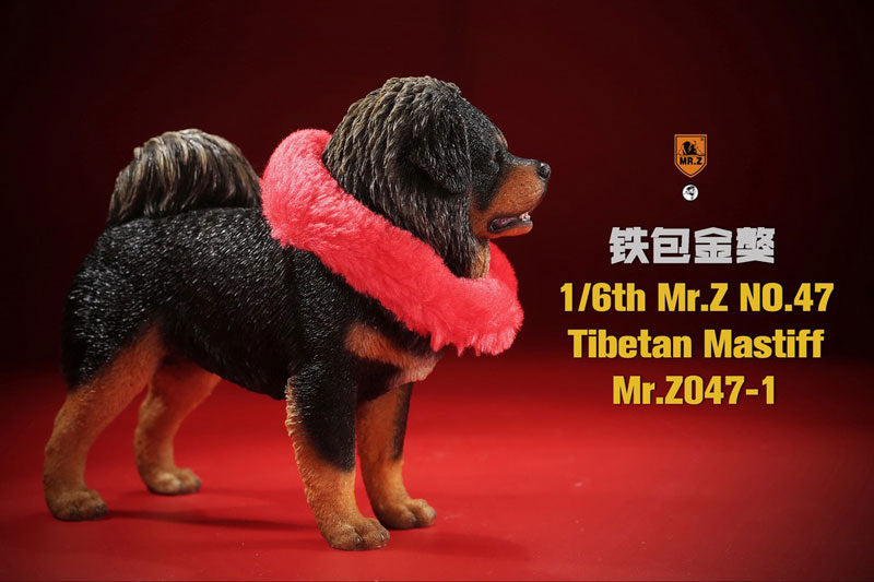 1/6 Tibetan Mastiff 1