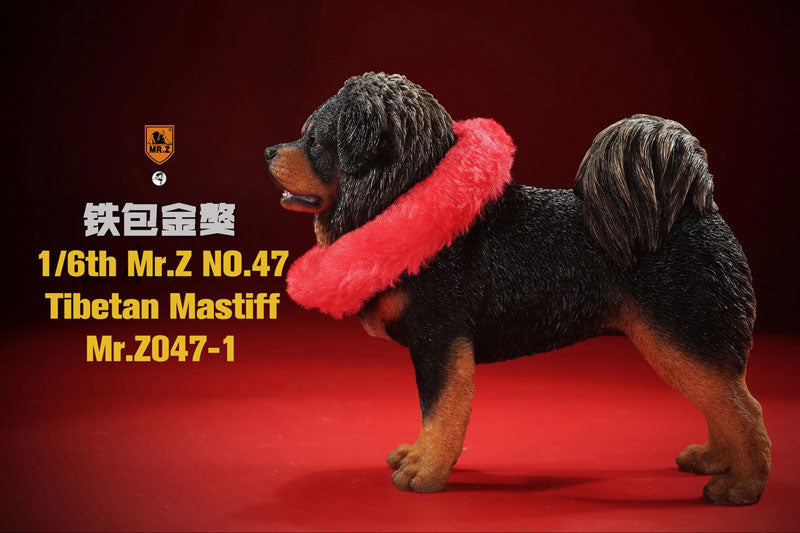 1/6 Tibetan Mastiff 1