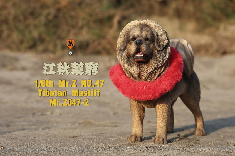 1/6 Tibetan Mastiff 2