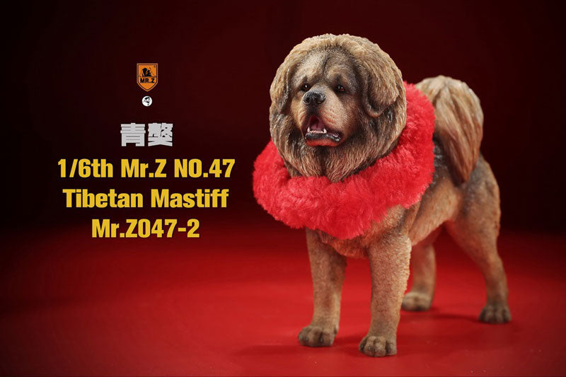 1/6 Tibetan Mastiff 2