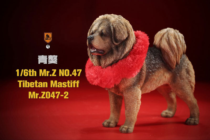 1/6 Tibetan Mastiff 2