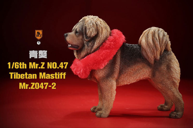 1/6 Tibetan Mastiff 2