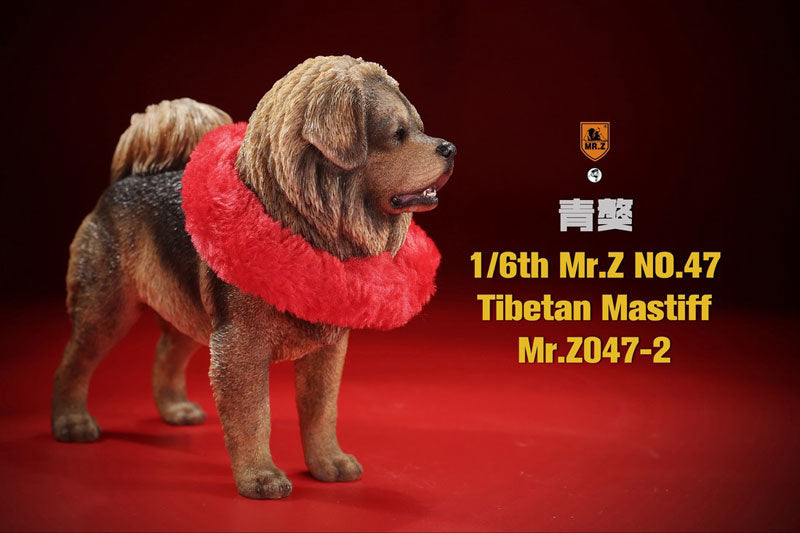 1/6 Tibetan Mastiff 2