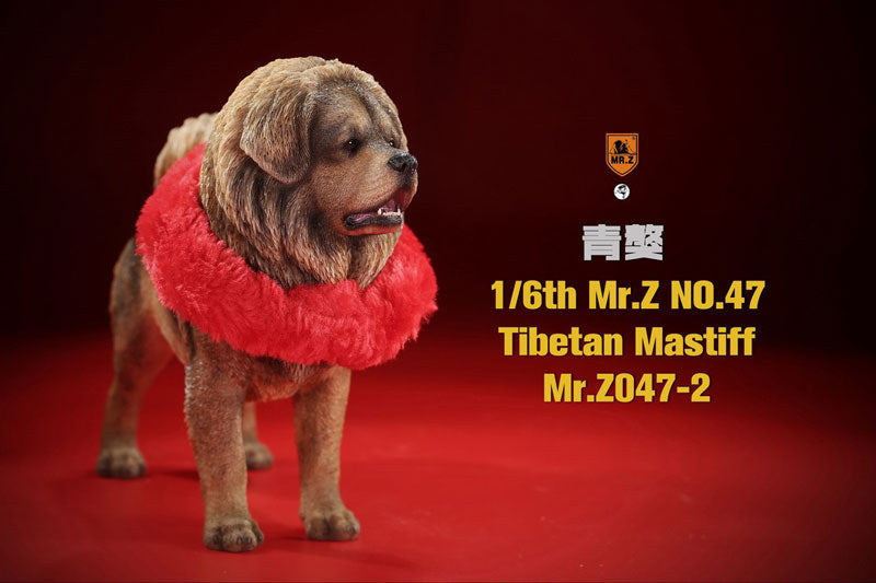 1/6 Tibetan Mastiff 2