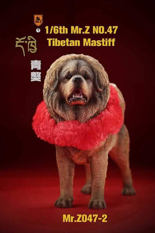 1/6 Tibetan Mastiff 2