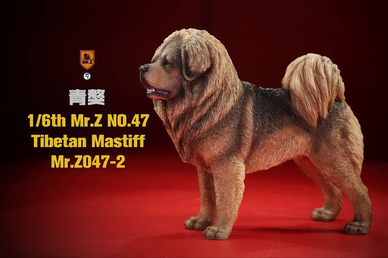 1/6 Tibetan Mastiff 2