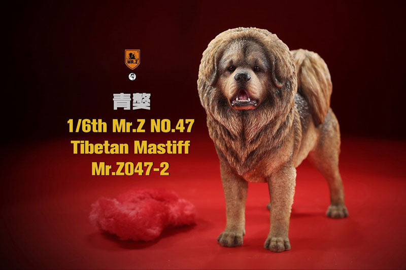 1/6 Tibetan Mastiff 2