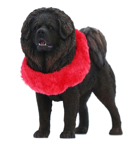 1/6 Tibetan Mastiff 3