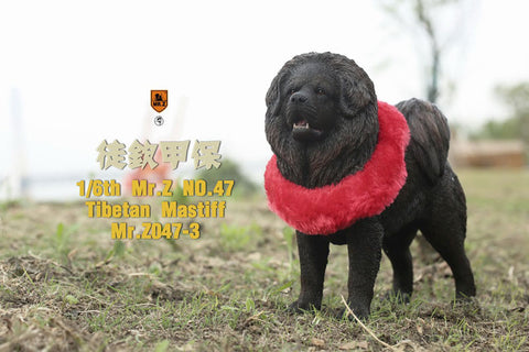 1/6 Tibetan Mastiff 3