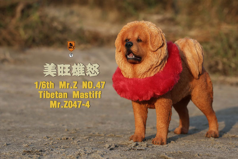 1/6 Tibetan Mastiff 4