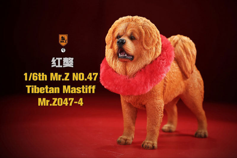 1/6 Tibetan Mastiff 4