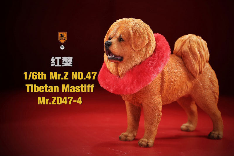 1/6 Tibetan Mastiff 4