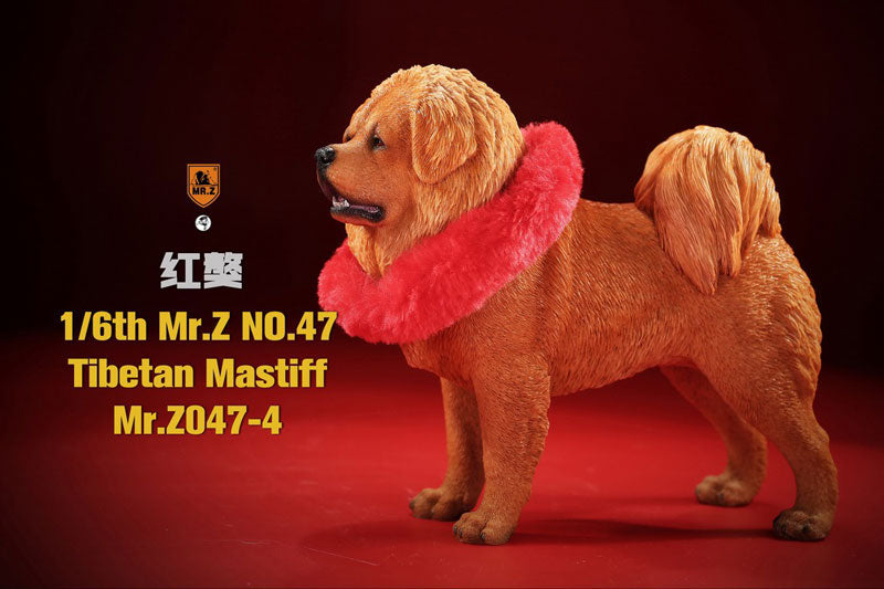 1/6 Tibetan Mastiff 4