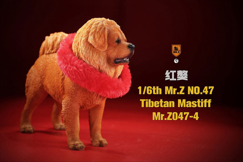 1/6 Tibetan Mastiff 4