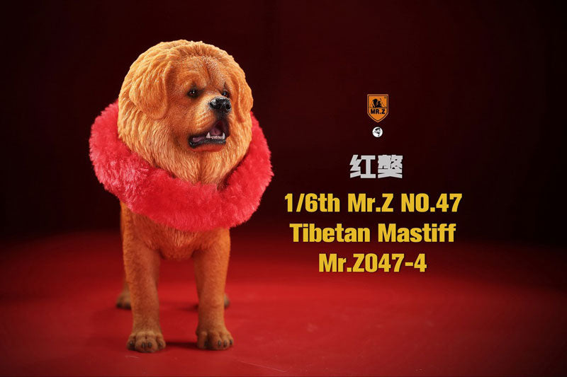 1/6 Tibetan Mastiff 4