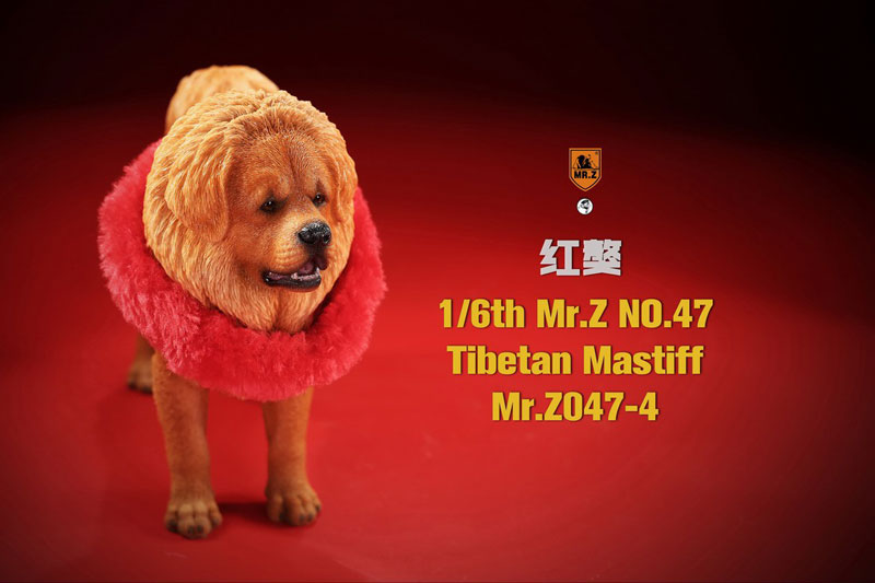 1/6 Tibetan Mastiff 4