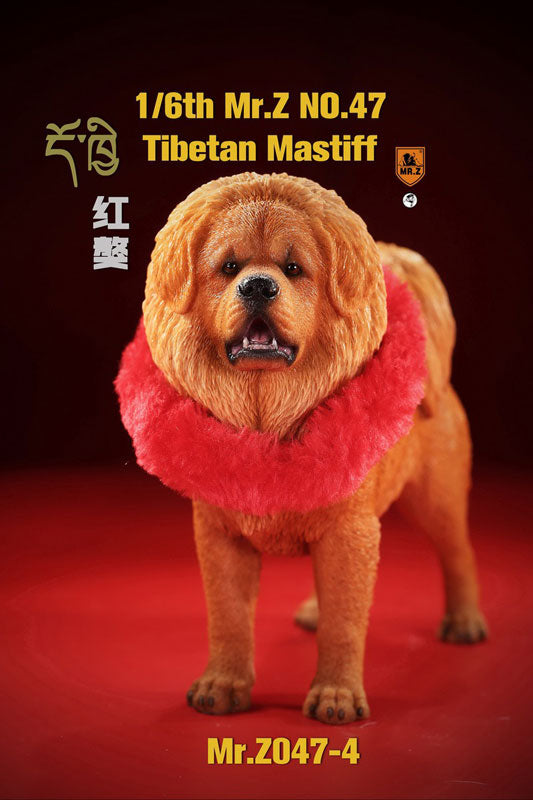 1/6 Tibetan Mastiff 4