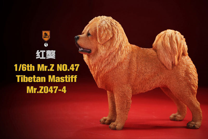 1/6 Tibetan Mastiff 4