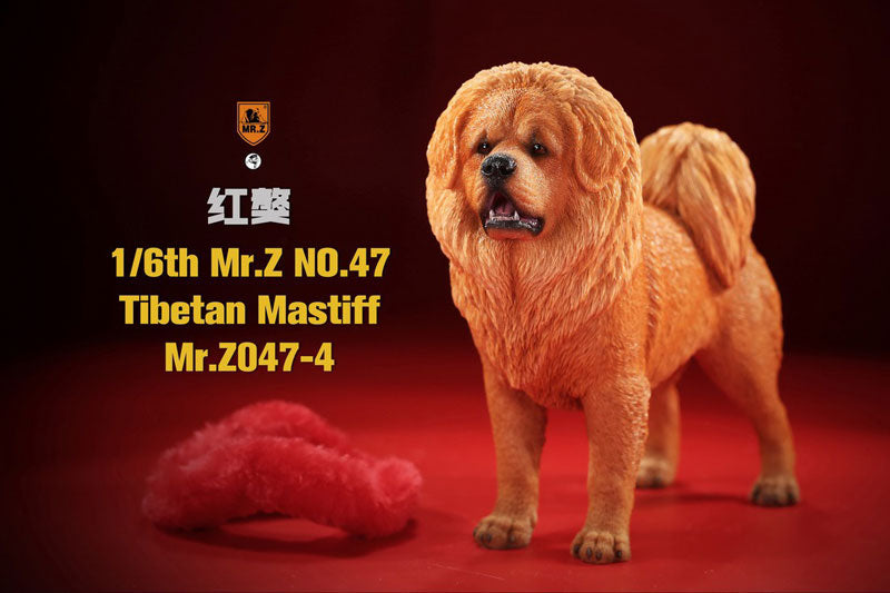 1/6 Tibetan Mastiff 4