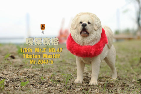 1/6 Tibetan Mastiff 5