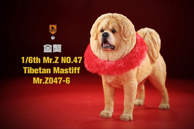 1/6 Tibetan Mastiff 6