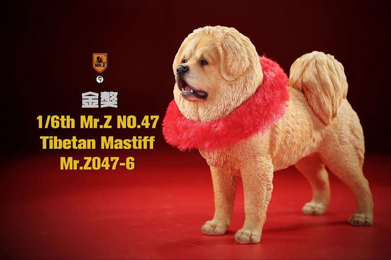 1/6 Tibetan Mastiff 6