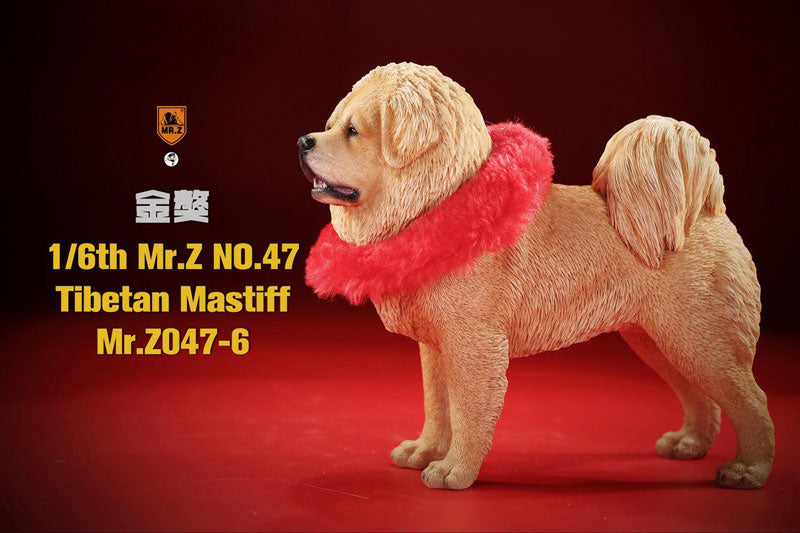 1/6 Tibetan Mastiff 6