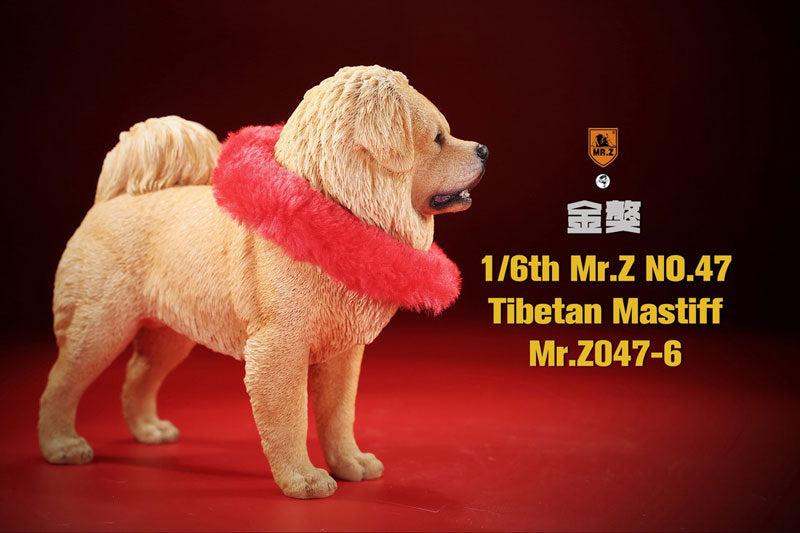 1/6 Tibetan Mastiff 6