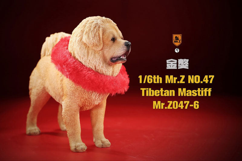 1/6 Tibetan Mastiff 6