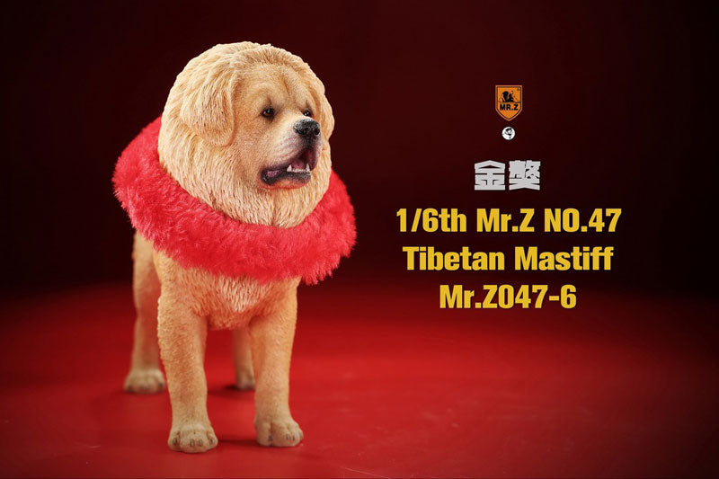 1/6 Tibetan Mastiff 6