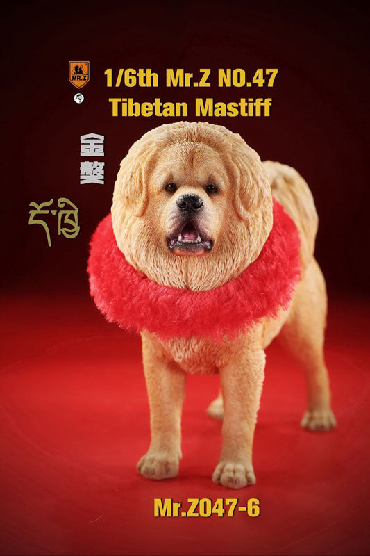 1/6 Tibetan Mastiff 6