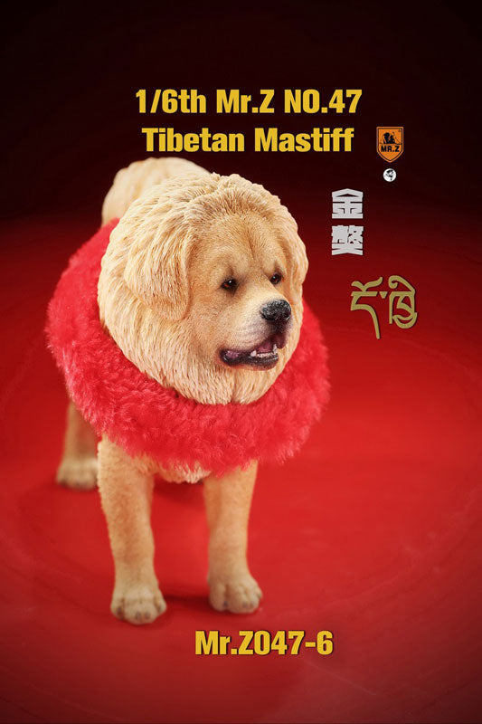 1/6 Tibetan Mastiff 6