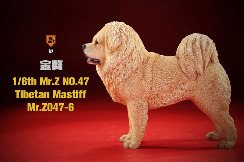 1/6 Tibetan Mastiff 6