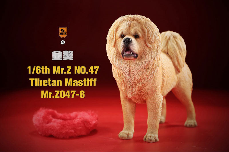 1/6 Tibetan Mastiff 6