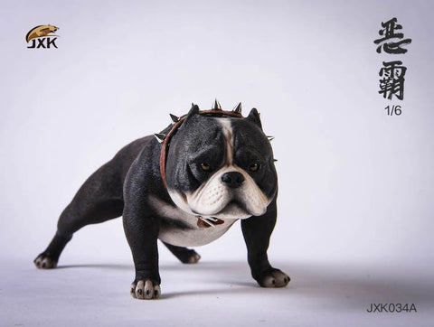 1/6 American Bully A