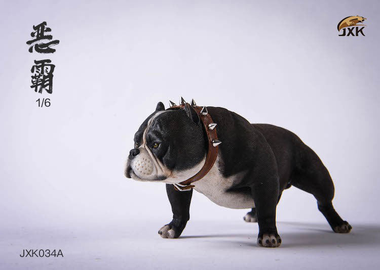 1/6 American Bully A