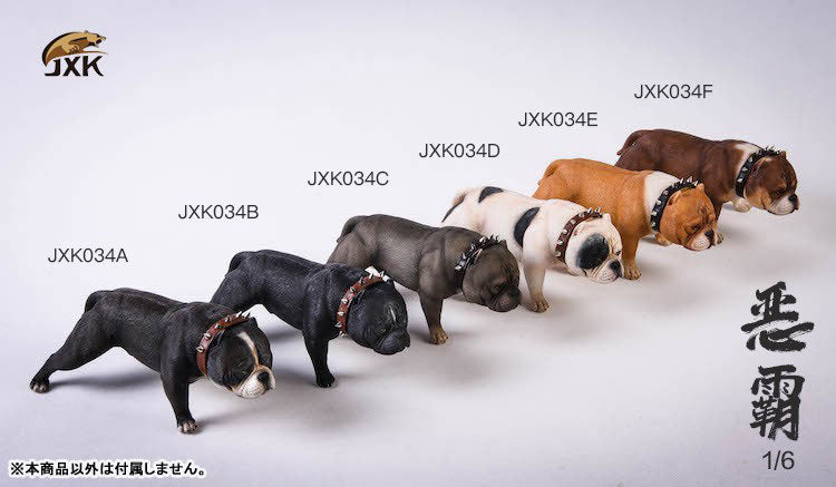 1/6 American Bully A