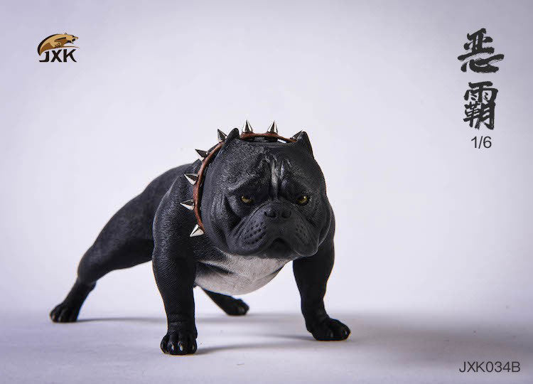 1/6 American Bully B