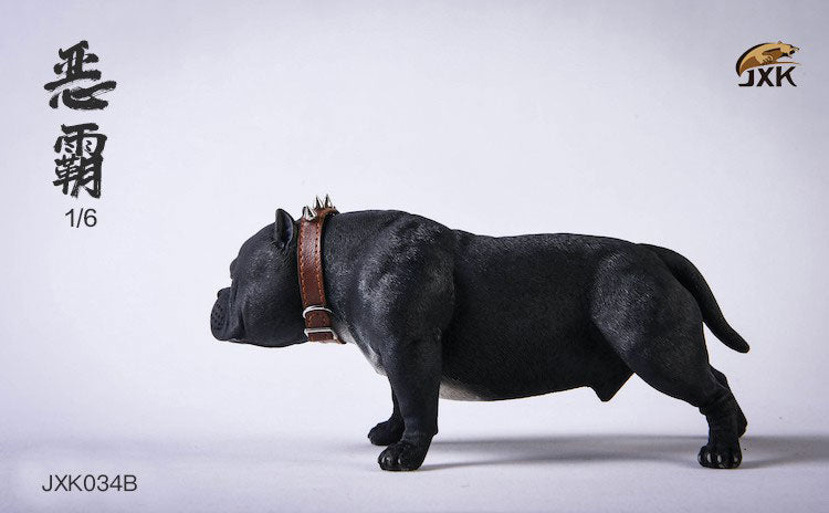 1/6 American Bully B