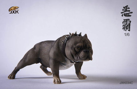 1/6 American Bully C