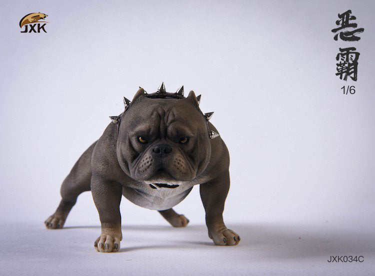 1/6 American Bully C