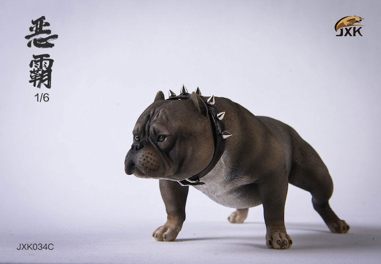 1/6 American Bully C