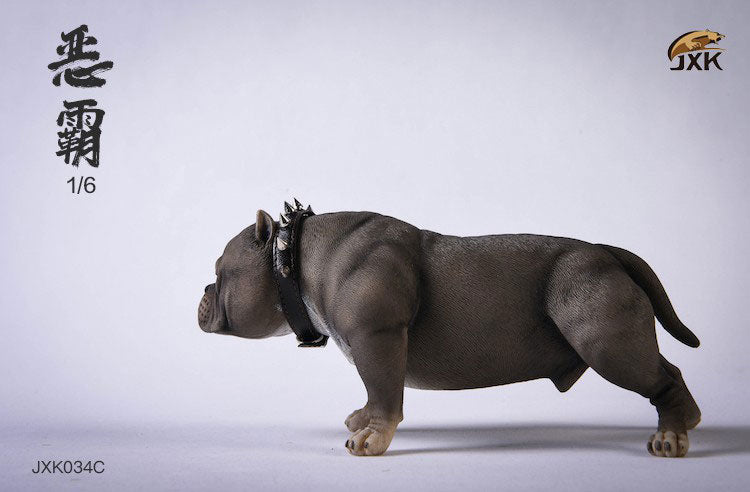 1/6 American Bully C