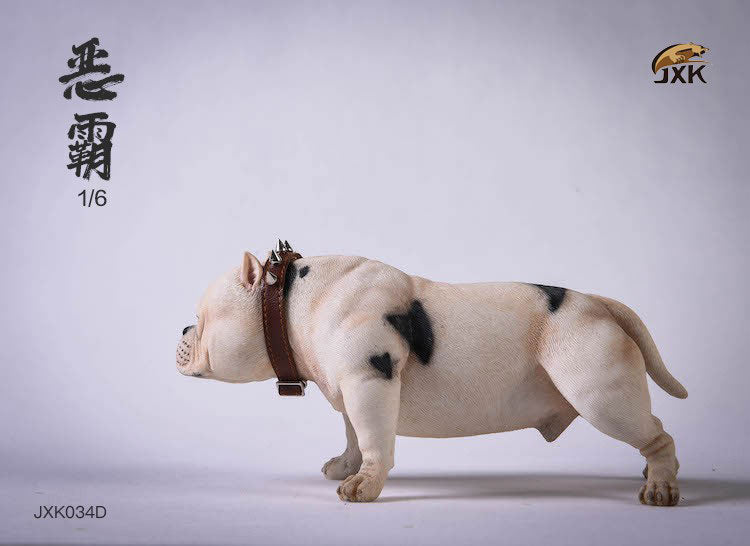 1/6 American Bully D