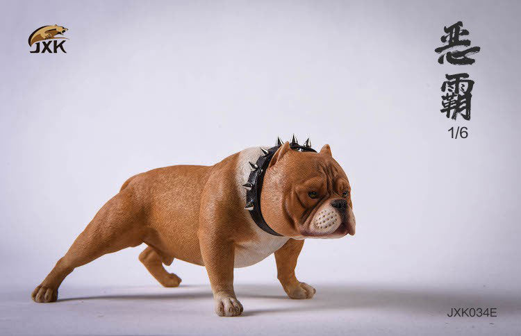 1/6 American Bully E