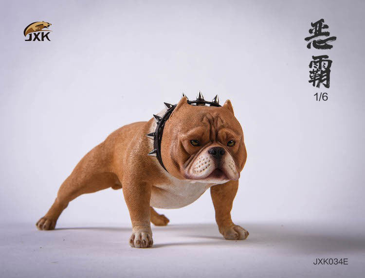 1/6 American Bully E