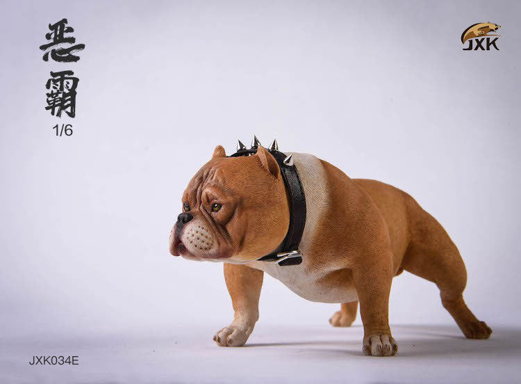 1/6 American Bully E