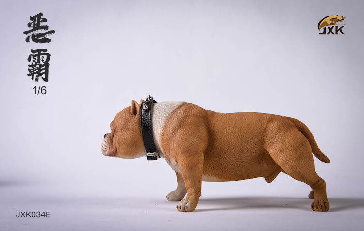 1/6 American Bully E