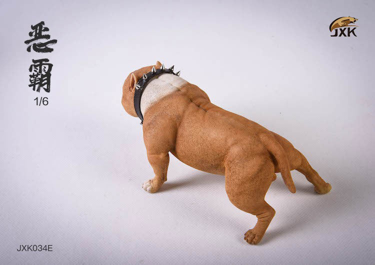 1/6 American Bully E