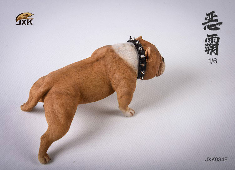 1/6 American Bully E